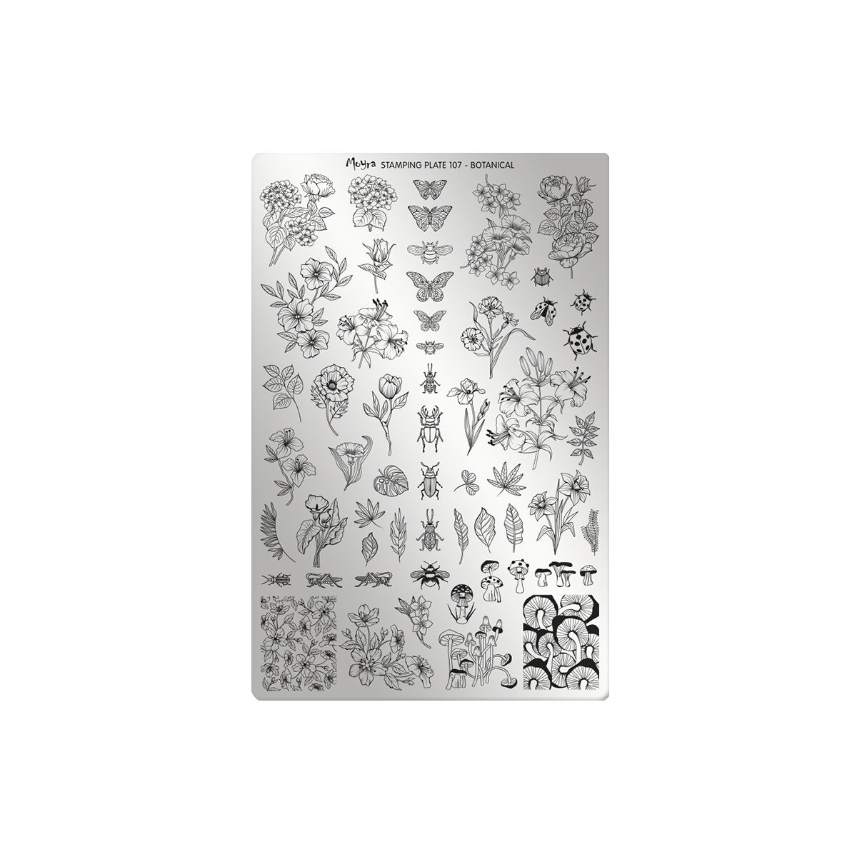 Matrita pentru stampila Moyra, 107, Botanical, Gri-negru
