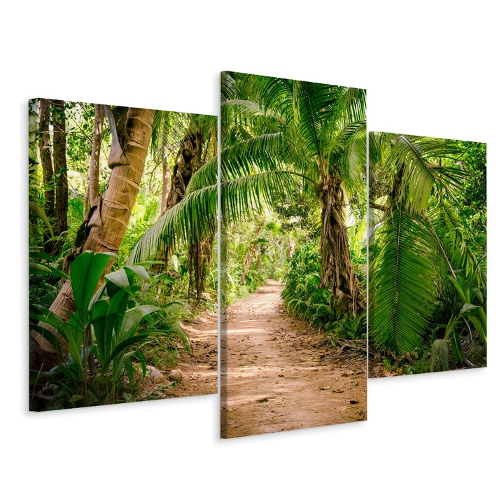 Set Tablou 3 Piese TRIPTIC Poteca intr-o Padure Tropicala Natura 180cm x 120cm Creative decor, Canvas, Decorarea peretilor, Peisaj