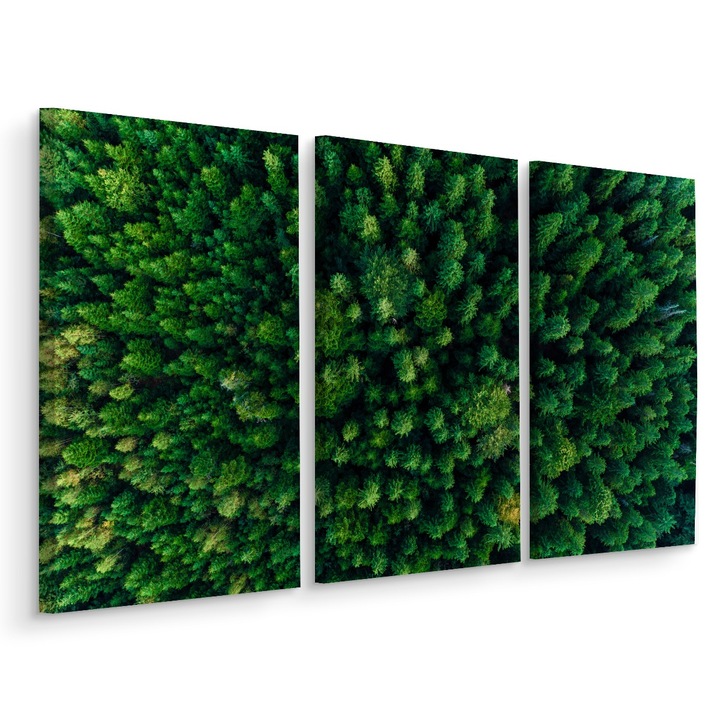 Set Tablou 3 Piese TRIPTIC Vedere Aeriana Padure Verde 3D 60cm x 40cm Peisaj, Natura, Copaci, Rama lemn, Dormitor