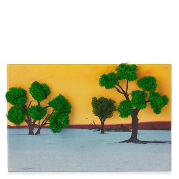 Tablou Licheni, Canvas 30 x 20 cm, Verde Tablou Licheni, Canvas 30 x 20 cm, Verde