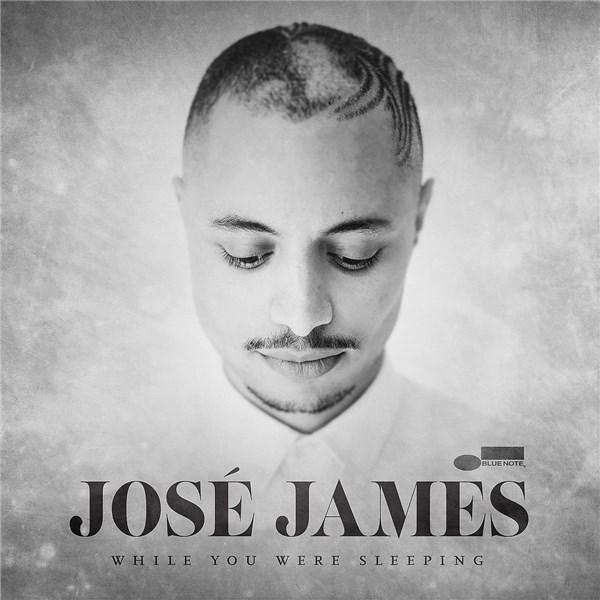 Jose James - While You Were Sleeping (Limited Edition) Vinyl - Vinyl