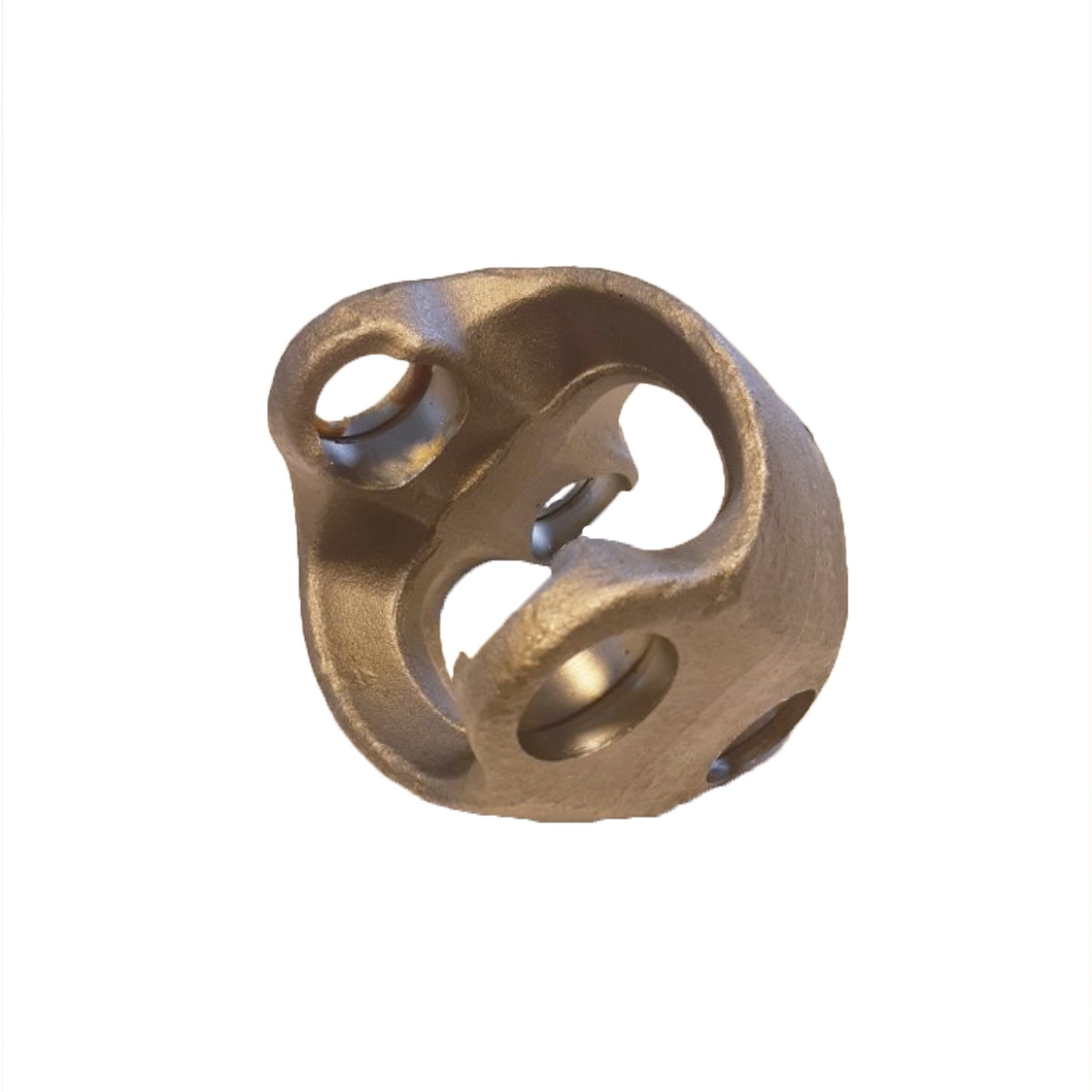 Homocinetica 46279, Carraro