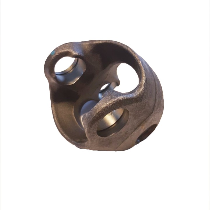 Homocinetica 46196, Carraro