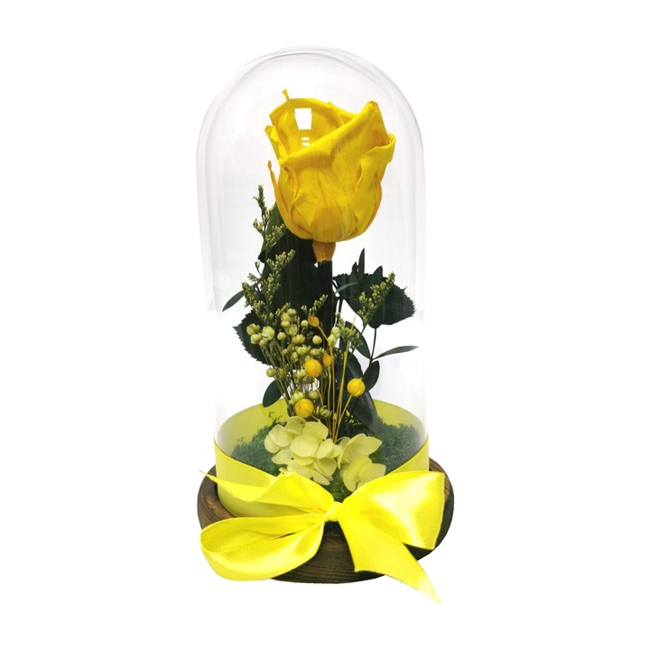 Aranjament floral in cupola de sticla cu Trandafir Criogenat galben si licheni stabilizati, D art Flowers, 21x12cm