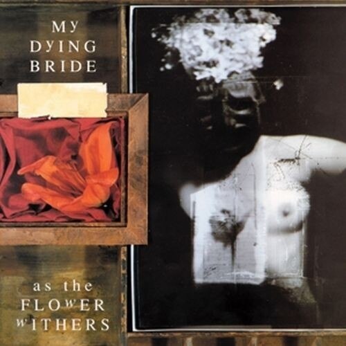 My Dying Bride-As The Flower Withers-LP