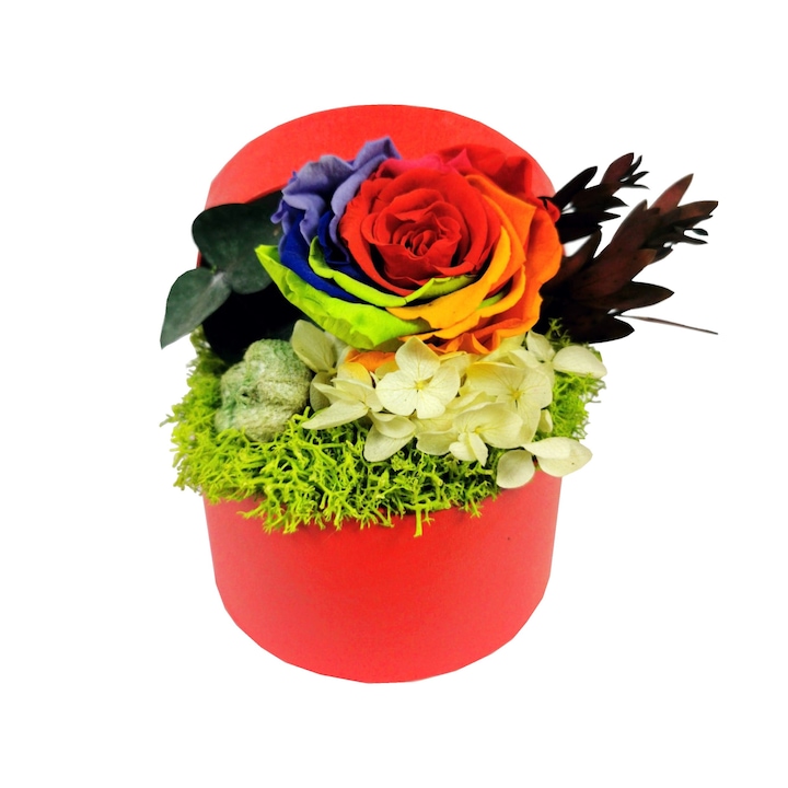 Trandafir Criogenat Multicolor in cutie cadou rosie cu licheni stabilizati si plante conservate , D art Flowers, 11x12x14 cm