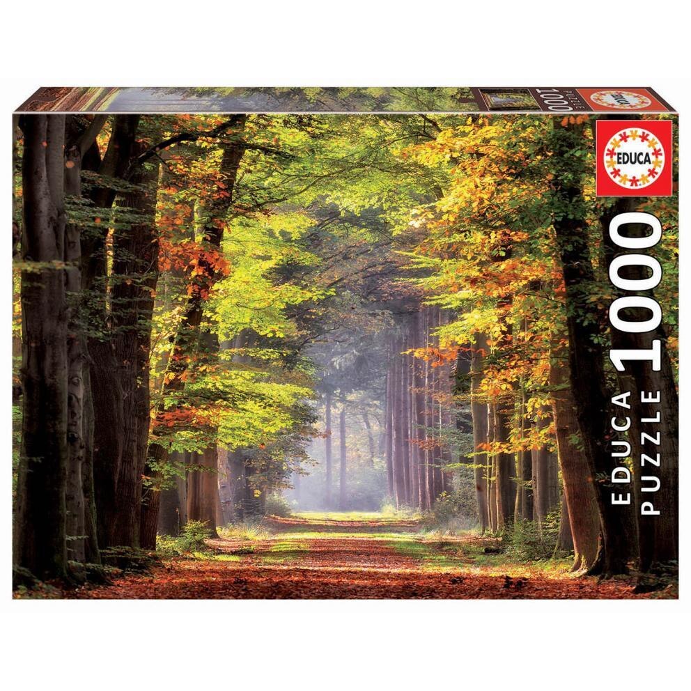 Puzzle 1000 piese Paseo Otonal Educa 19021
