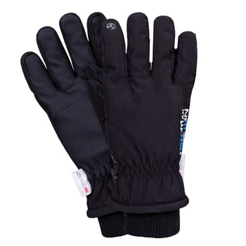 Manusi de protectie de iarna,3M Rskimax, rezistente la vant si apa, negre, marimea L Manusi de protectie de iarna,3M Rskimax, rezistente la vant si apa, negre, marimea L