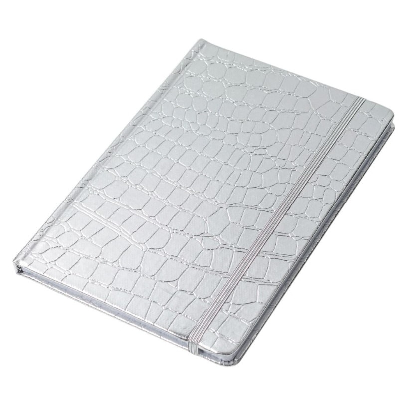 Agenda pentru notite, Zola®,A5, argintie, model simplu, 80 file