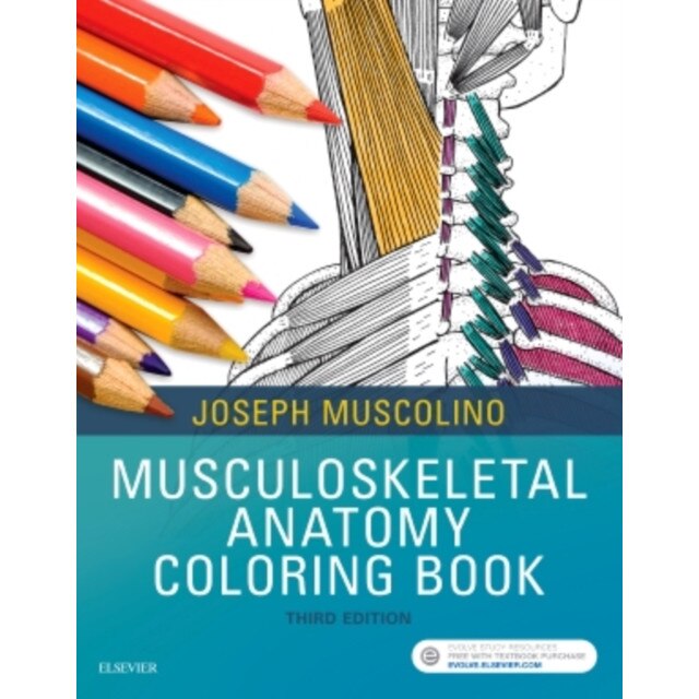 Musculoskeletal Anatomy Coloring Book de Joseph E. Muscolino