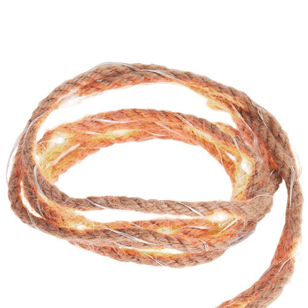 Decoratiune luminoasa Craciun, Home Styling Collection, 20 LED, 200 cm