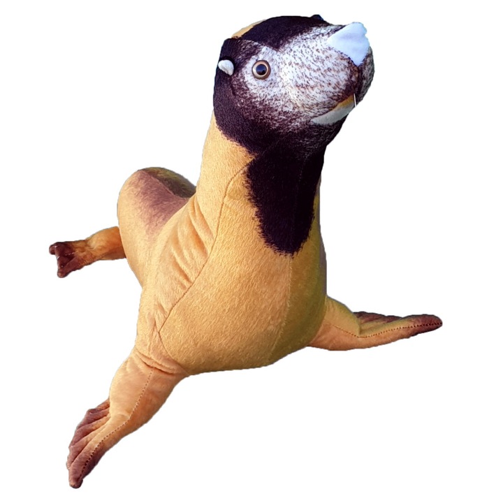 Foca de plus, Nichita, cafeniu, 55 cm