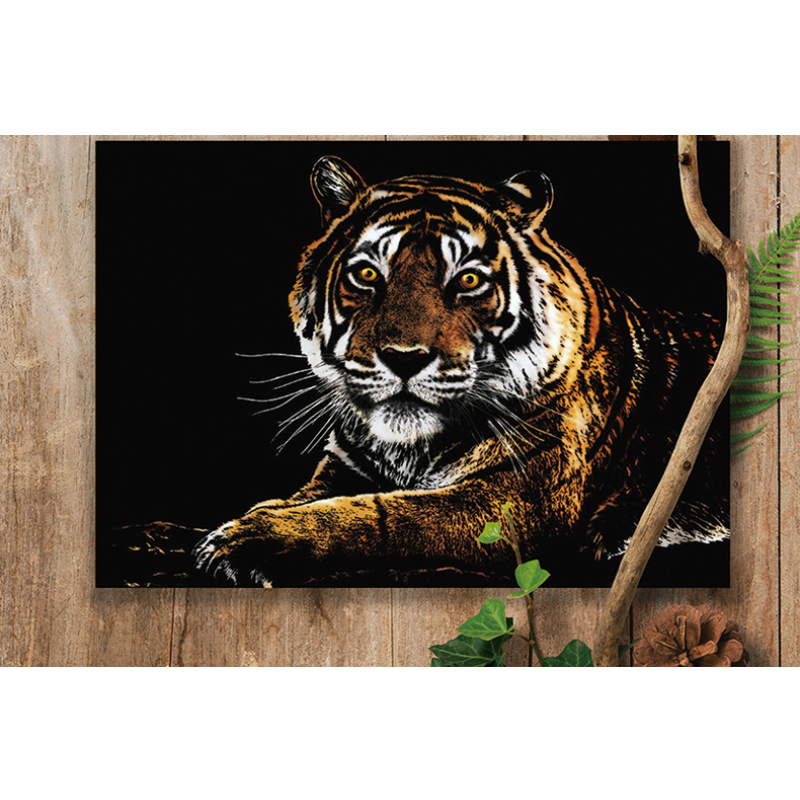 Plansa de razuit A3 - terapie prin Arta - Tigru