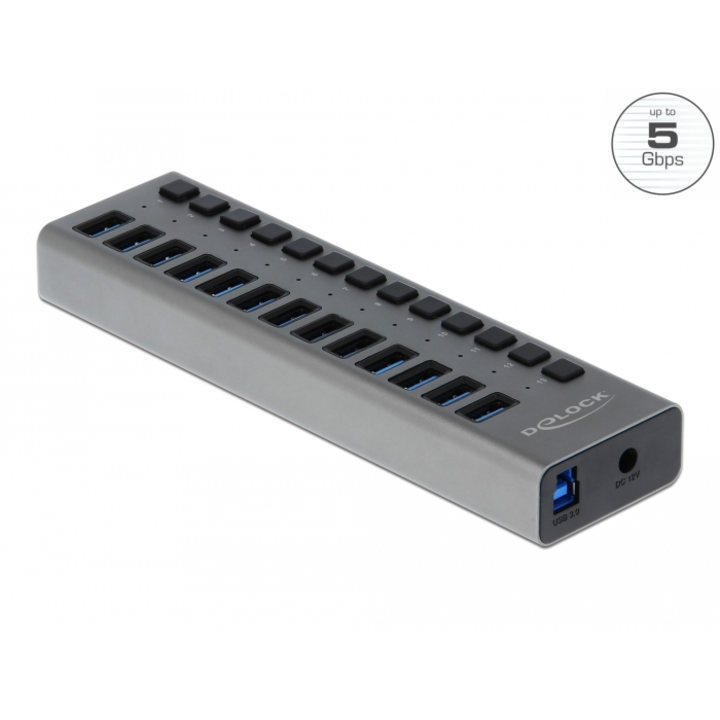 USB Hub Delock 63738, 13 x USB-A, 1 x USB-B, 5 Gbps, LED kijelző, szürke