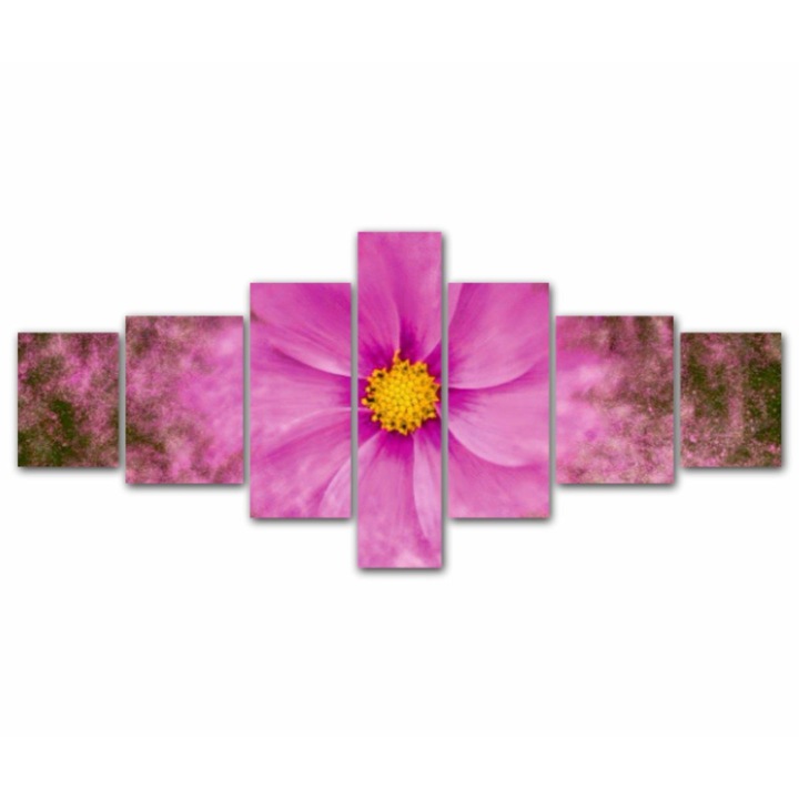 7 db-os Multicanvas festmény készlet, Cosmea art 188, UV-nyomat PREMIUM COTTON vászonra (400 g/m2) és fa keretre feszítve (Profil 2X3,6cm), 215x100 cm