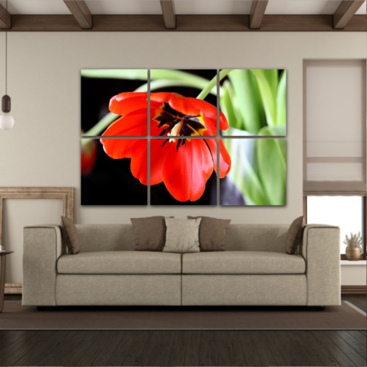 6 db-os Multicanvas festmény készlet, Piros tulipán 258, UV nyomattal PREMIUM COTTON vászonra (400 g/m2) és fa keretre feszítve (Profil 2X3,6cm), 150x100 cm