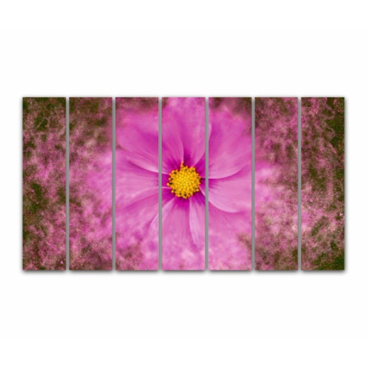 7 db-os Multicanvas festmény készlet, Cosmea art 188, UV nyomat PREMIUM COTTON vászonra (400 g/m2) és fa keretre feszítve (Profil 2X3,6cm), 175x100 cm