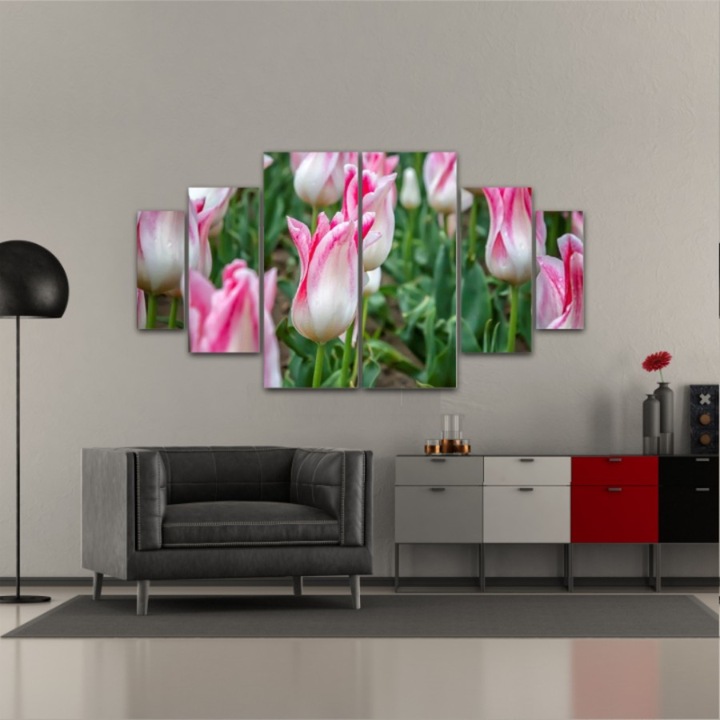 6 db-os Multicanvas Festmény készlet, Tulipán 257, UV nyomattal PREMIUM COTTON vászonra (400 g/m2) és fa keretre feszítve (Profil 2X3,6cm), 180x100 cm