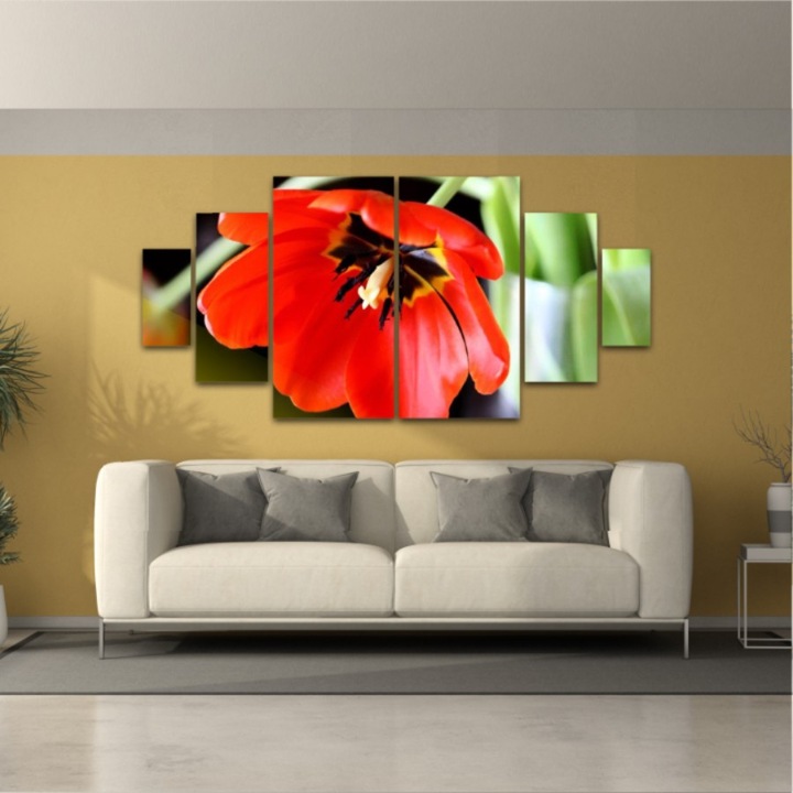 6 db-os Multicanvas festmény készlet, Piros tulipán 258, UV-nyomat PREMIUM COTTON vászonra (400 g/m2) és fa keretre feszítve (Profil 2X3,6cm), 200x100 cm