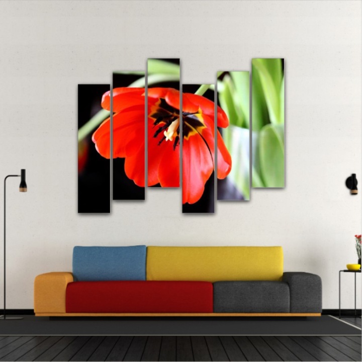 6 db-os Multicanvas festmény készlet, Piros tulipán 258, UV nyomattal PREMIUM COTTON vászonra (400 g/m2) és fa keretre feszítve (Profil 2X3,6cm), 150x120 cm
