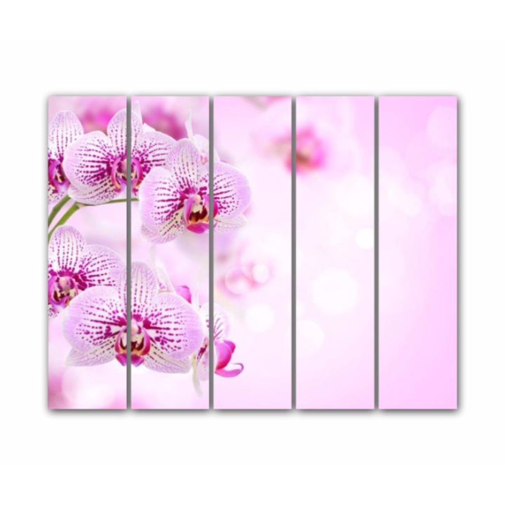 5 db-os Multicanvas festményből álló készlet, Rózsaszín orchideák 246, UV nyomattal PREMIUM COTTON vászonra (400 g/m²) és fa keretre feszítve (profil 2x3,6cm), 125x100 cm