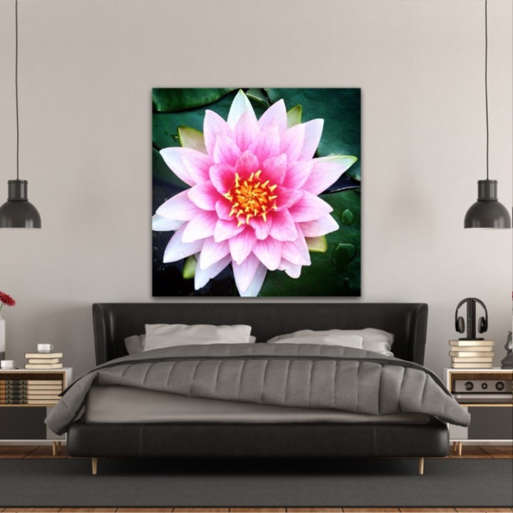 Vászonfestmény, 1 db, Lótuszvirág 273, UV nyomat PREMIUM COTTON vászonra (400 g/m2) és fa keretre feszítve (Profil 2X3,6cm), 100x100 cm