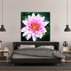 Vászonfestmény, 1 db, Lótuszvirág 273, UV nyomat PREMIUM COTTON vászonra (400 g/m2) és fa keretre feszítve (Profil 2X3,6cm), 100x100 cm
