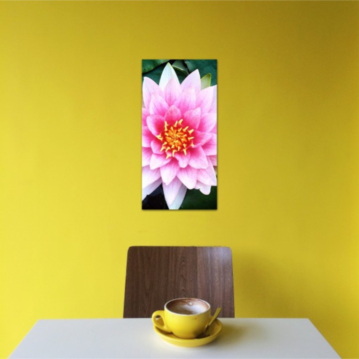 Vászonfestmény, 1 db, Lótuszvirág 273, UV nyomat PREMIUM COTTON vászonra (400 g/m2) és fa keretre feszítve (Profil 2X3,6cm), 20x40 cm