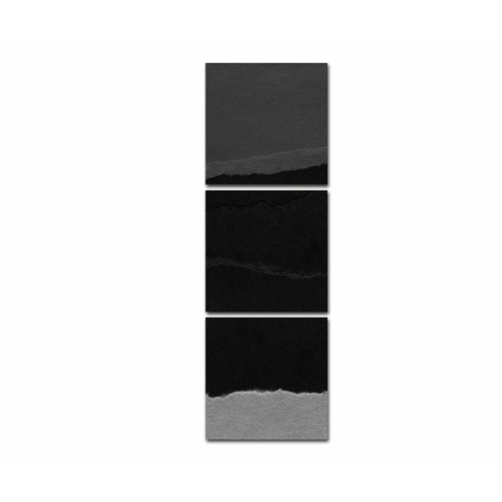 3 db-os Multicanvas festmény készlet, Fekete Art 532, UV-nyomat PREMIUM PAMUT vászonra (400 g/m2) és fa keretre feszítve (2X3.6cm profil), 40x120 cm