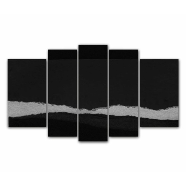 5 db-os Multicanvas festmény készlet, Black Art 533, UV-nyomat PREMIUM COTTON vászonra (400 g/m2) és fa keretre feszítve (Profil 2X3,6cm), 170x100 cm
