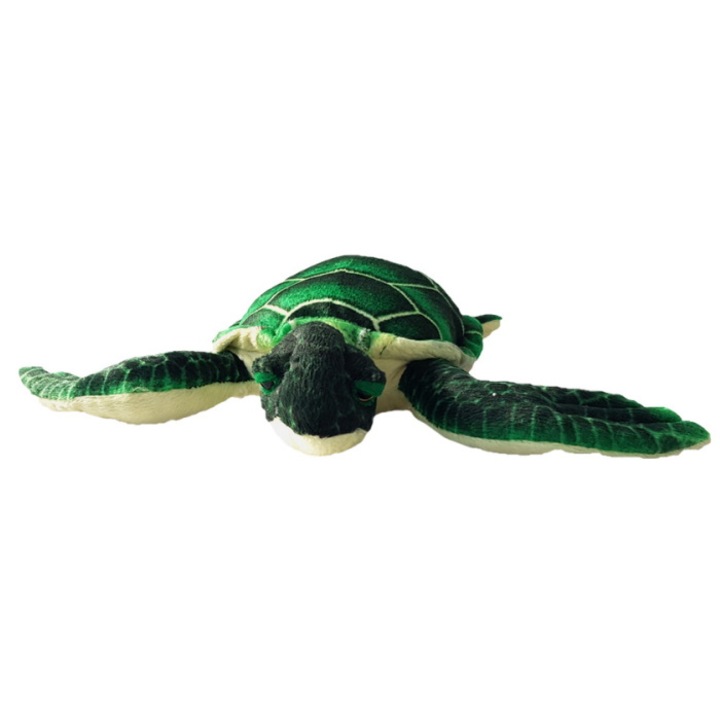 Testoasa de plus, Nichita, 26 cm