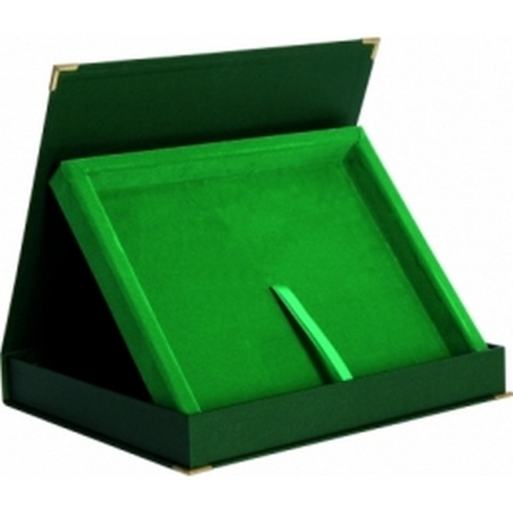 Cutie prezentare BTY1709 C verde