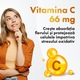 Altrifer LDS, Sun Wave Pharma, Fier, cu vitamina C pentru absorbția fierului, 30 capsule
