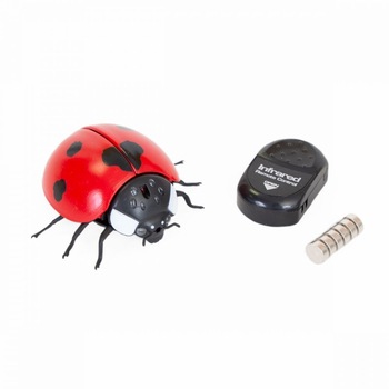 Gargarita robot interactiv cu telecomanda cu raze infrarosii, 3 canale, 2 directii de deplasare, functie demo, pentru copii Gargarita robot interactiv cu telecomanda cu raze infrarosii, 3 canale, 2 directii de deplasare, functie demo, pentru copii