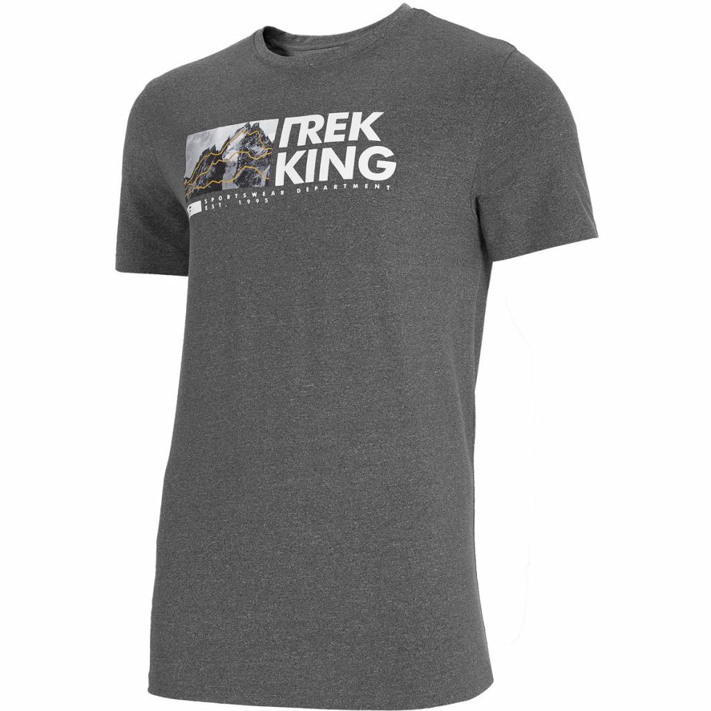 Tricou barbati 4F, H4L21-TSM060, Bumbac, Gri