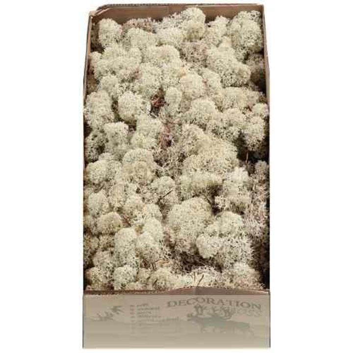 Licheni 500gr Natural