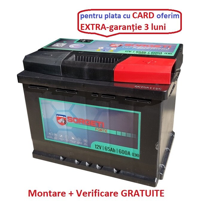 Baterie auto Sorgeti Forte 65Ah