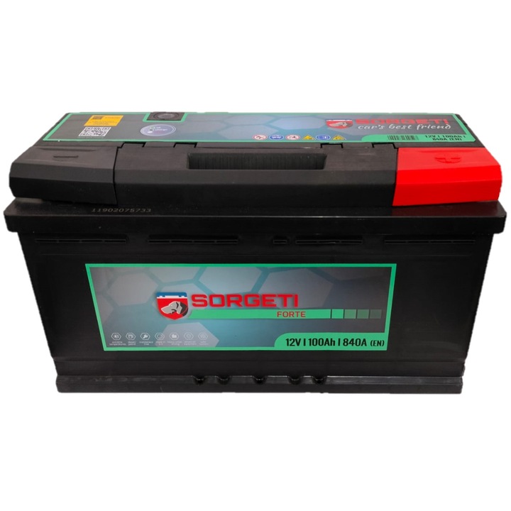 Baterie auto Sorgeti Forte 100Ah