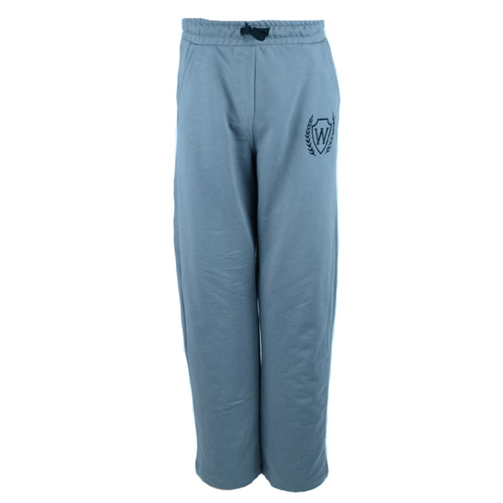 Pantaloni sport pentru baieti Wendeefdsag, Gri, 122 CM