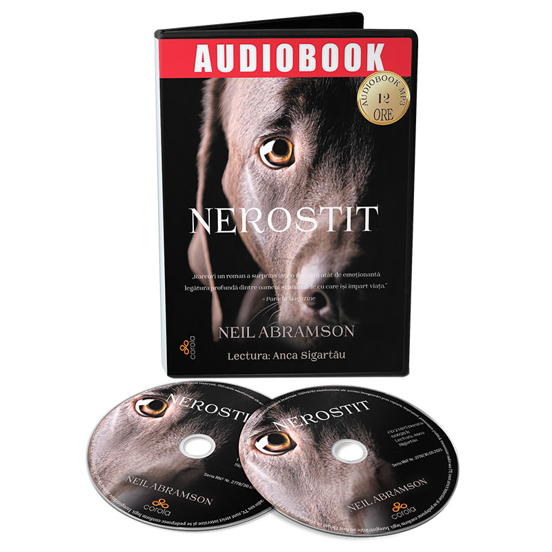 Nerostit, audiobook - autor Neil Abramson