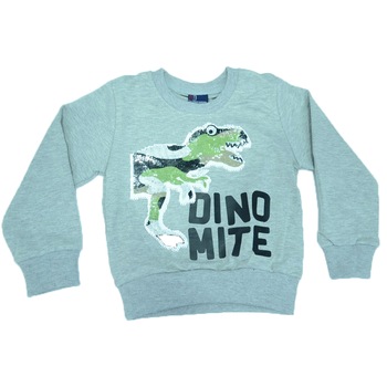 Bluza cu maneca lunga pentru baieti Happy House HB-2193G-104, Gri 22661 Bluza cu maneca lunga pentru baieti Happy House HB-2193G-104, Gri 22661