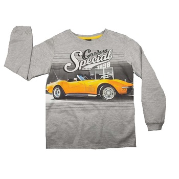 Bluza cu maneca lunga pentru baiete GT GT-5403G-116, Gri 116 CM Bluza cu maneca lunga pentru baiete GT GT-5403G-116, Gri 116 CM