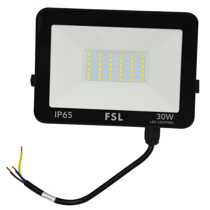 Proiector Led FSL, 30W, Lumina rece, Fascicul larg