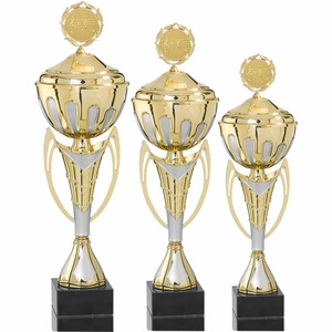 Cupe, trofee si medalii