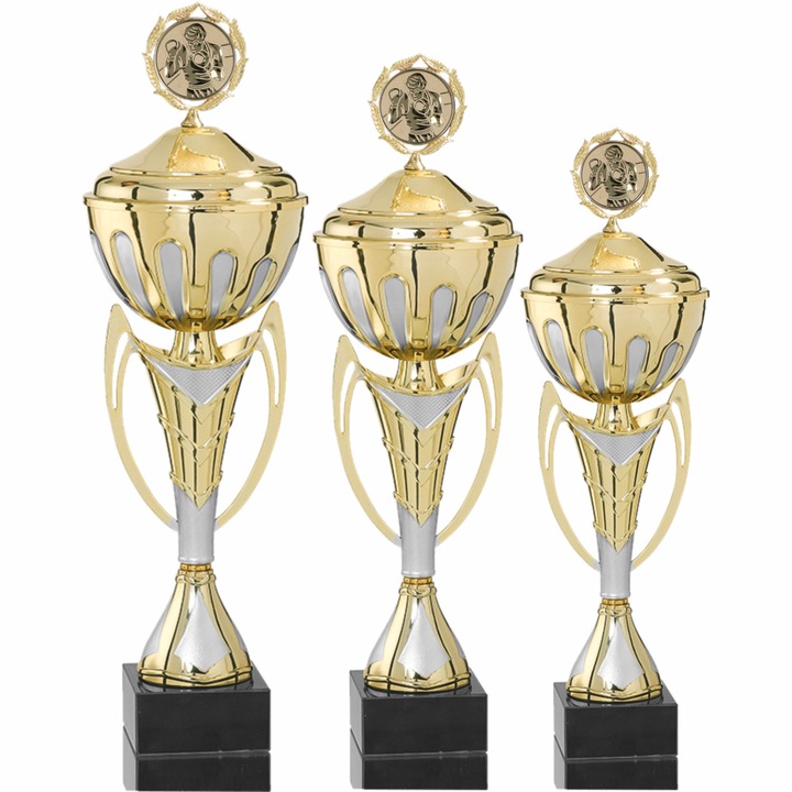 Set Box 3 Cupe cu Capac, 49, 46, 40 cm