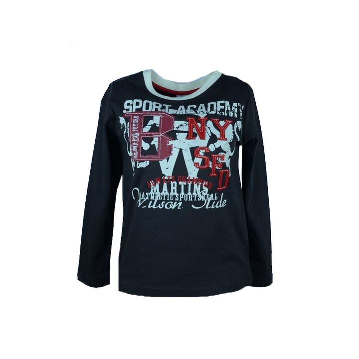 Bluza cu maneca lunga pentru baieti DS101121-1M-122, Multicolor 27580