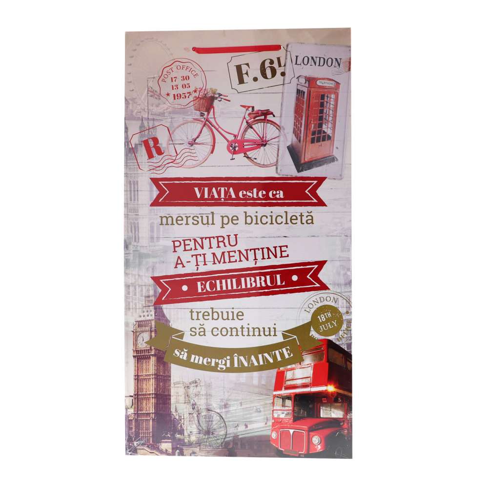 Tablou Cu Mesaj Viata cu Bicicleta 50cm