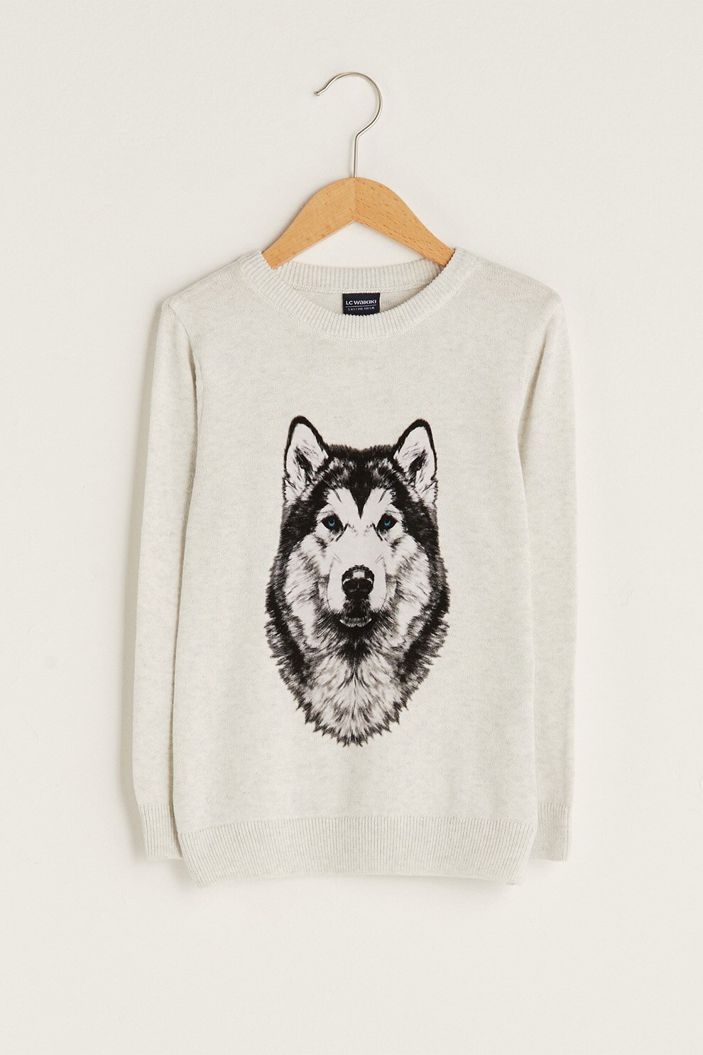 LC WAIKIKI, Pulover cu decolteu la baza gatului si model grafic, Gri deschis