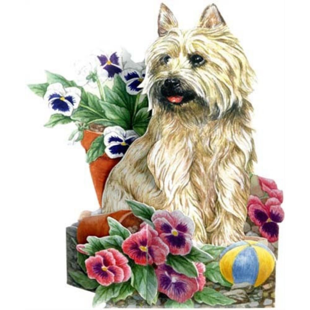 Felicitare 3D-Gata de joaca