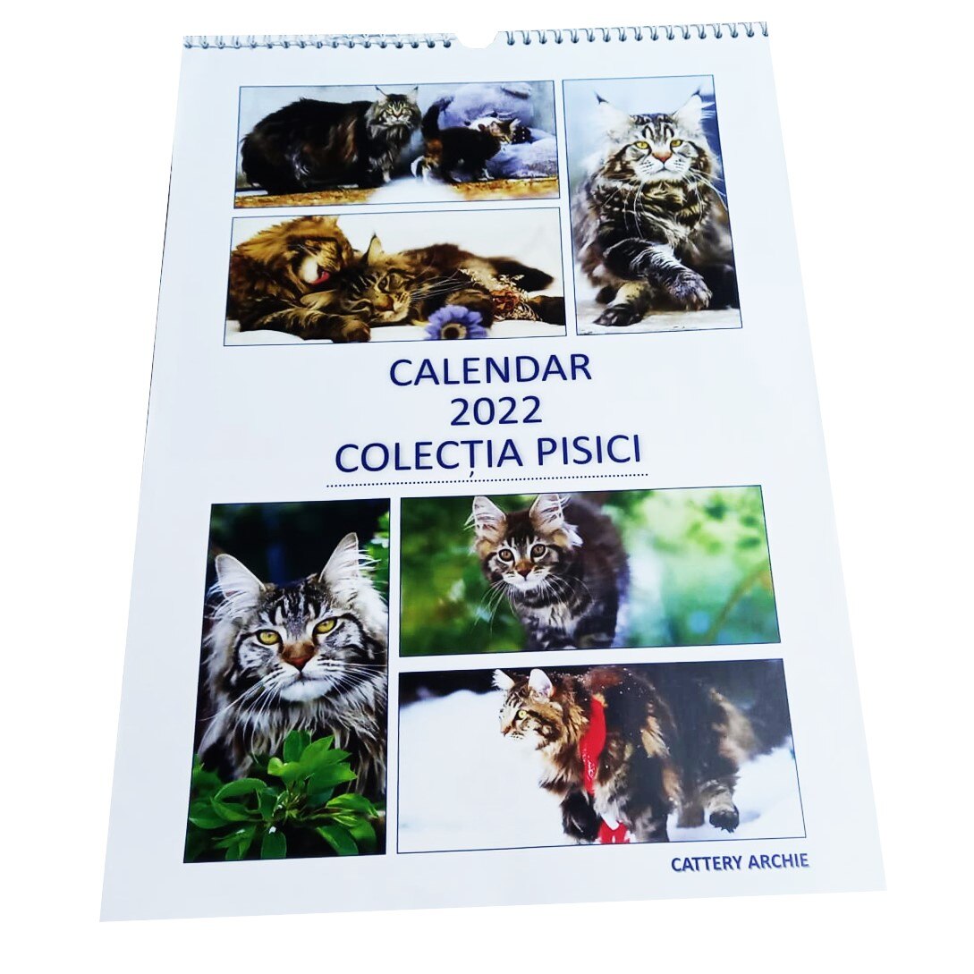 Calendar de Perete MCF Colectia Pisici 2022